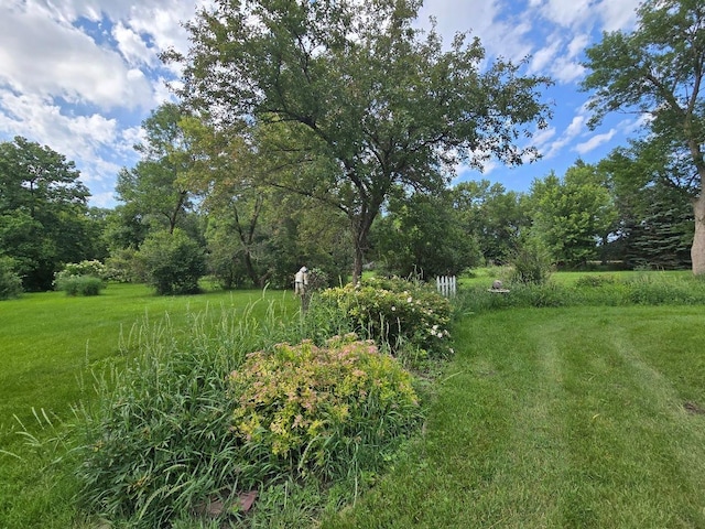 2047 60th Ave, Altona Twp, MN 56164 - view of grassy yard