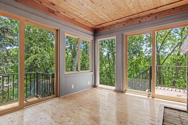 6230 Elm Ridge Cir, Corcoran, MN 55340 - unfurnished sunroom featuring a wooden deck, healthy amount of natural light, and wood-type flooring