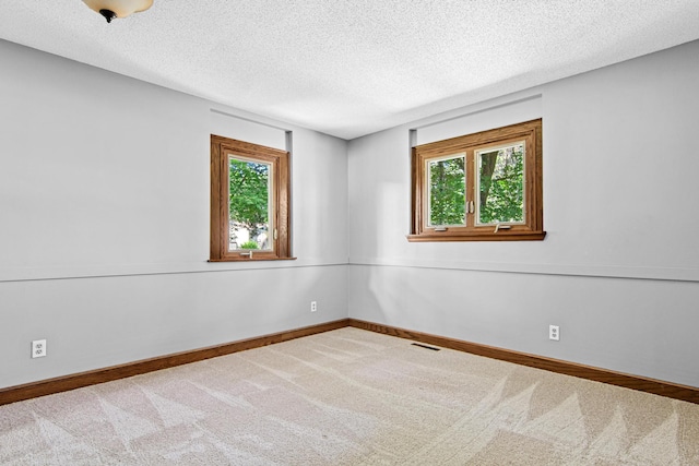 6230 Elm Ridge Cir, Corcoran, MN 55340 - carpeted spare room featuring plenty of natural light and a textured ceiling