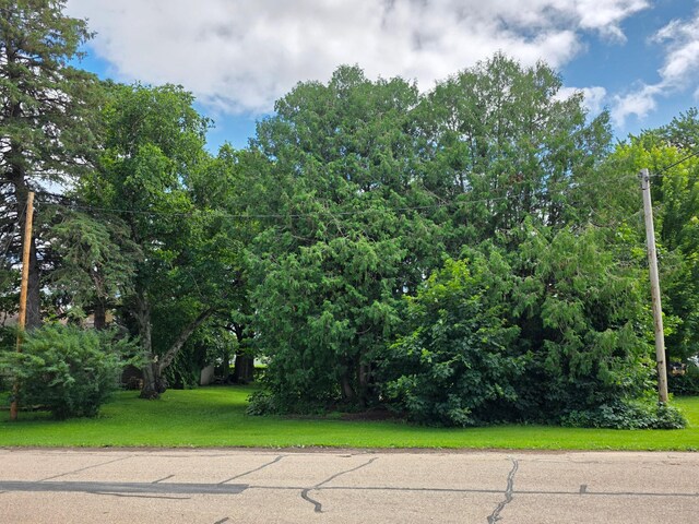240 1st St SW, Elgin, MN 55932 - photo 15