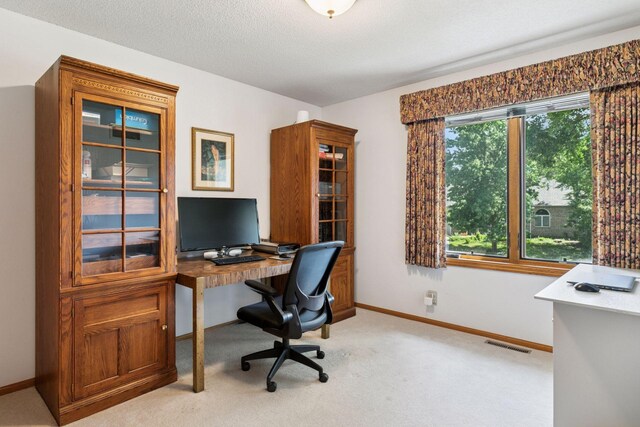 1890 Partridge Cir, Chanhassen, MN 55331 - office space with light carpet and baseboards