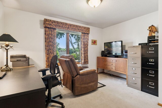 1890 Partridge Cir, Chanhassen, MN 55331 - office area featuring light colored carpet and a textured ceiling