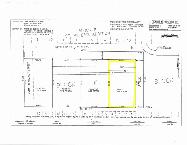 TBD-LotD Burns Street, Bruno, MN 55712