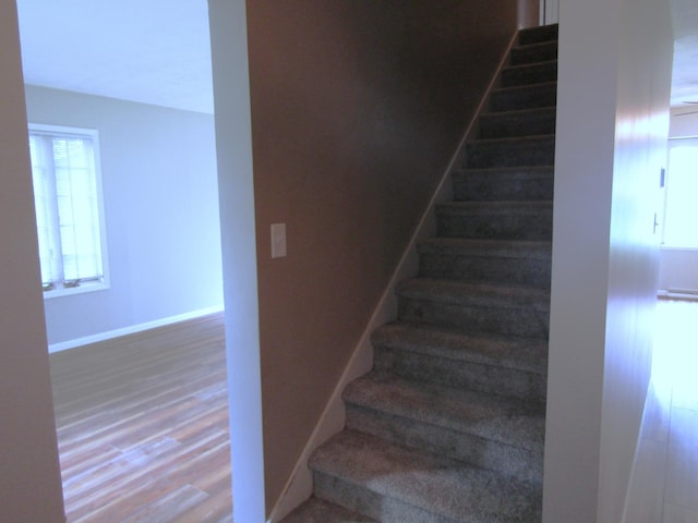1333 Walnut St, Dawson, MN 56232 - photo 17
