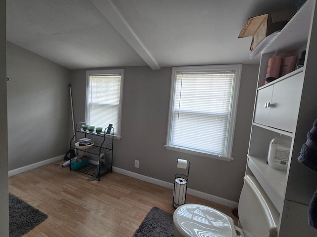 108 9th St, Morris, MN 56267 - misc room with light wood-style floors and healthy amount of natural light