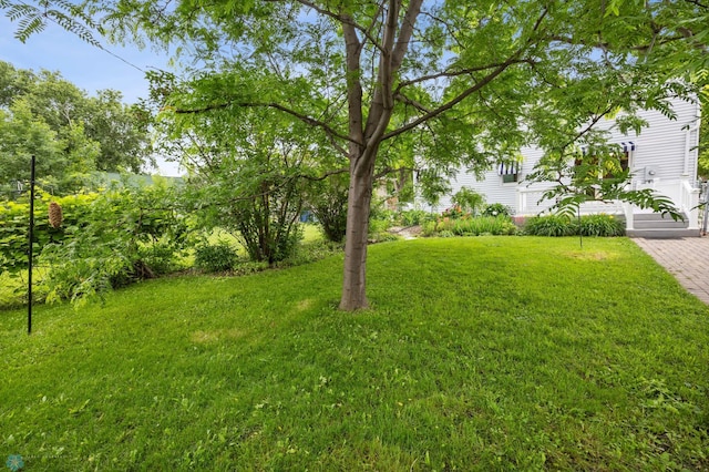 1109 14th St N, Moorhead, MN 56560 - view of grassy yard