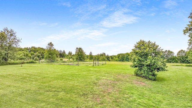14645 Chapel Rd, Edgewater, WI 54817 - view of grassy yard