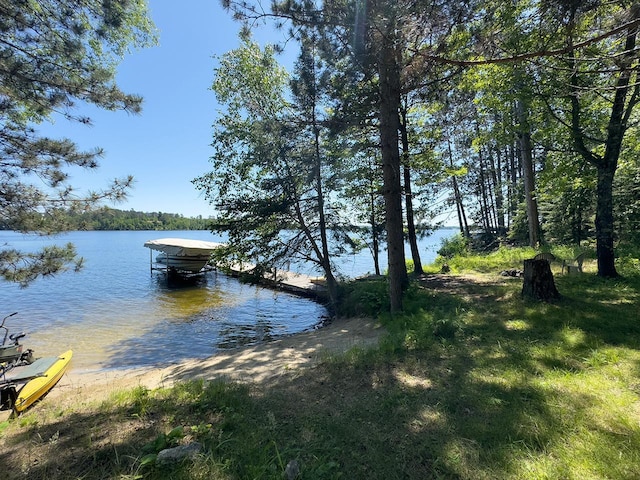 8890 Raps Rd, Beatty Twp, MN 55723 - photo 37