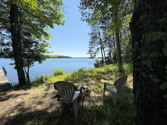8890 Raps Rd, Beatty Twp, MN 55723 - photo 39