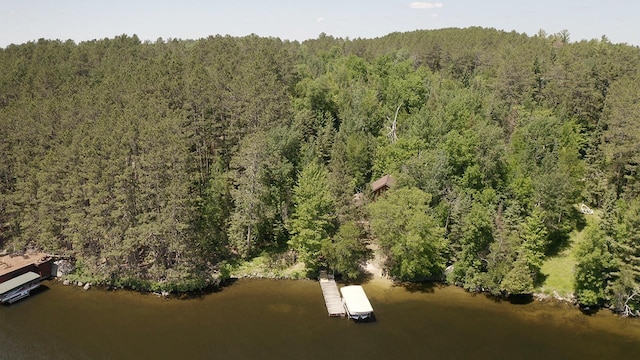 8890 Raps Rd, Beatty Twp, MN 55723 - photo 41