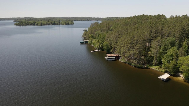 8890 Raps Rd, Beatty Twp, MN 55723 - photo 42
