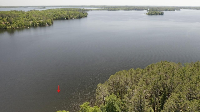 8890 Raps Rd, Beatty Twp, MN 55723 - photo 43