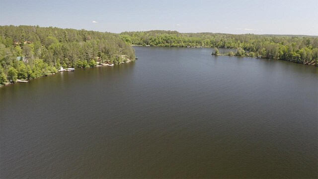 8890 Raps Rd, Beatty Twp, MN 55723 - photo 44