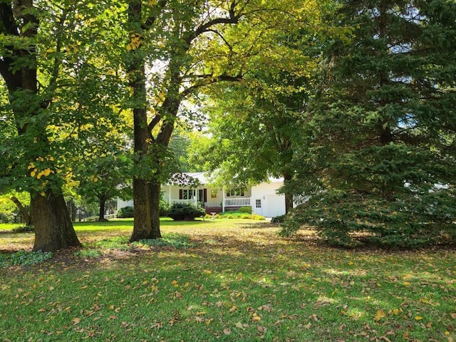 26233 555th Ave, Lansing Twp, MN 55912 - view of grassy yard
