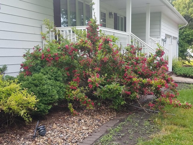 26233 555th Ave, Lansing Twp, MN 55912 - view of yard featuring covered porch and stairs