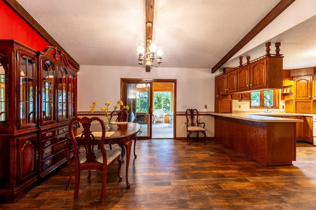 26233 555th Ave, Lansing Twp, MN 55912 - dining room featuring a textured ceiling, dark wood finished floors, a chandelier, and lofted ceiling