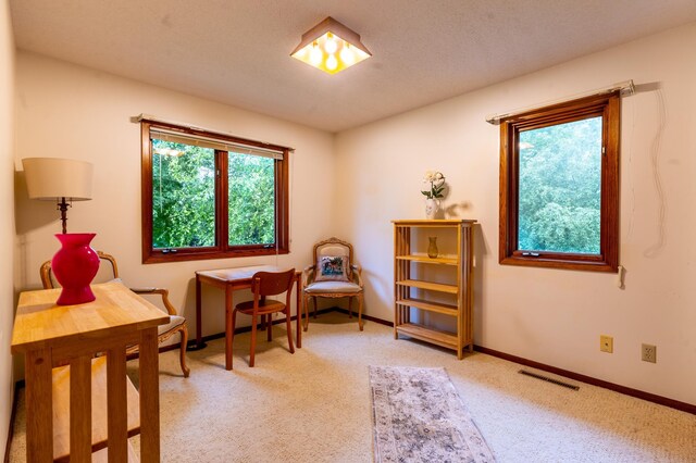 26233 555th Ave, Lansing Twp, MN 55912 - living area with light carpet and baseboards