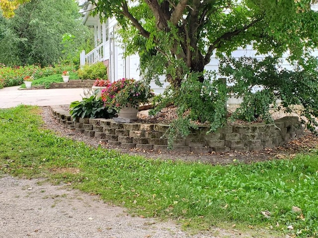26233 555th Ave, Lansing Twp, MN 55912 - view of yard featuring a patio area
