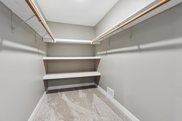 27088 130th St, Staples, MN 56479 - walk in closet with carpet