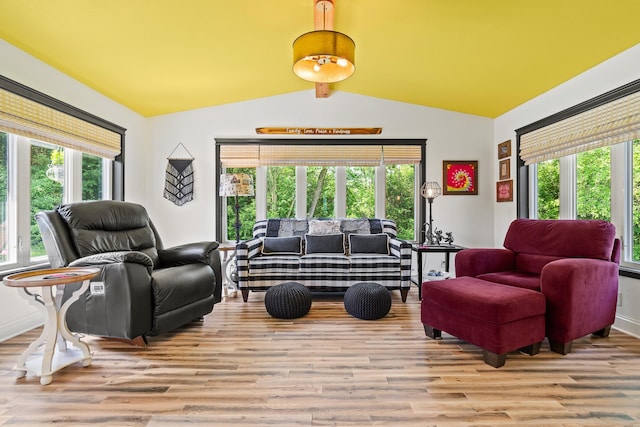N5887 1110th St, Oak Grove Twp, WI 54021 - living area featuring plenty of natural light and wood finished floors