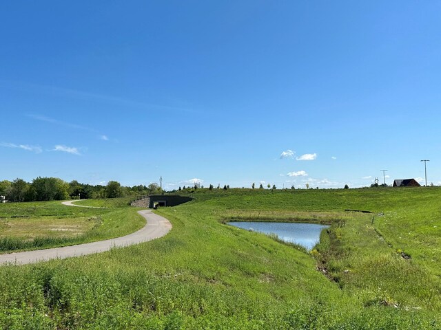 13319 Applewood Trl, Rosemount, MN 55068 - photo 37