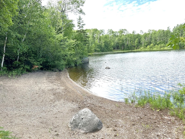 518 Sparrow Ln, Fall Lake Twp, MN 55731 - water view featuring a heavily wooded area