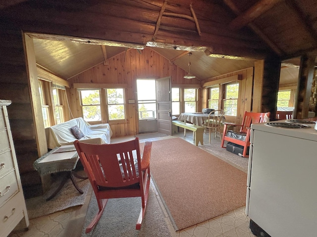 518 Sparrow Ln, Fall Lake Twp, MN 55731 - sunroom / solarium featuring vaulted ceiling