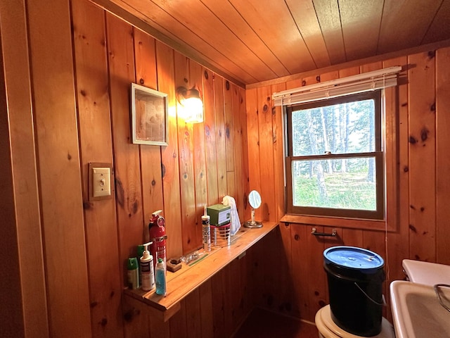 518 Sparrow Ln, Fall Lake Twp, MN 55731 - bathroom with wooden walls and wood ceiling