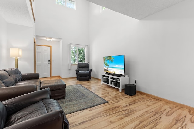 14939 Pinto Ln, Savage, MN 55378 - living room with wood finished floors and a high ceiling