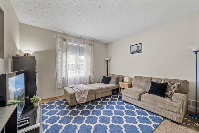 6566 Merrimac Ln N, Maple Grove, MN 55311 - living area with a textured ceiling