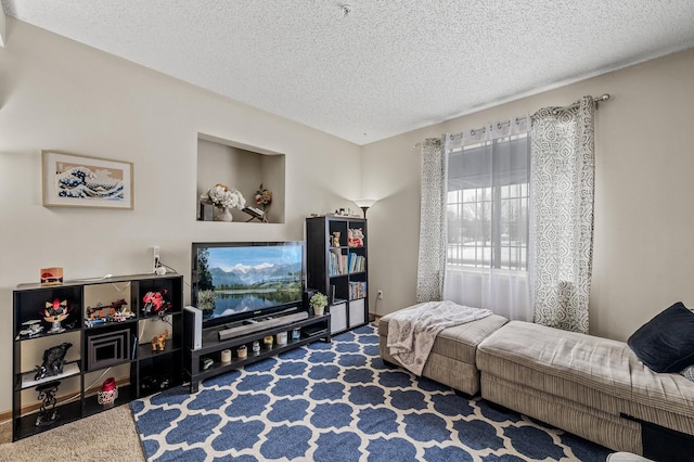 6566 Merrimac Ln N, Maple Grove, MN 55311 - living area with carpet and a textured ceiling
