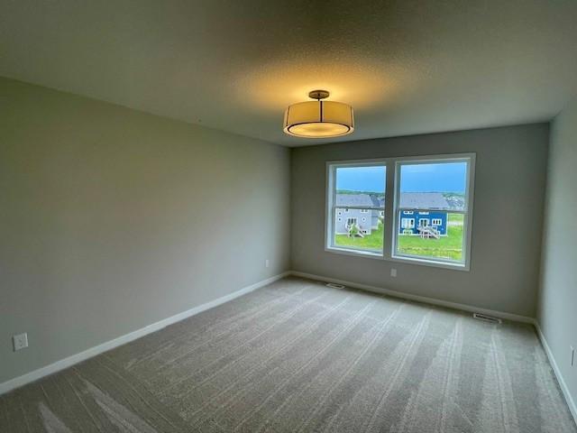 10101 Corral Way, Victoria, MN 55386 - photo 24