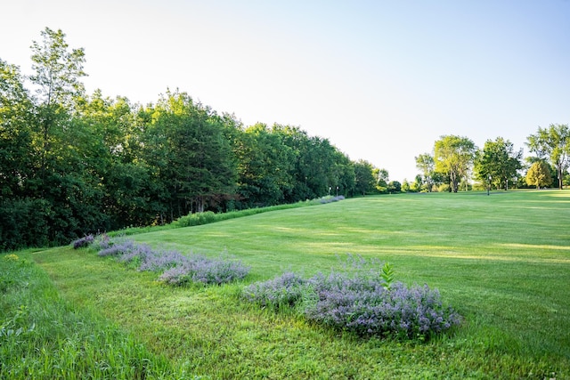 32592 Juniper Rd, Chatfield Twp, MN 55923 - photo 33