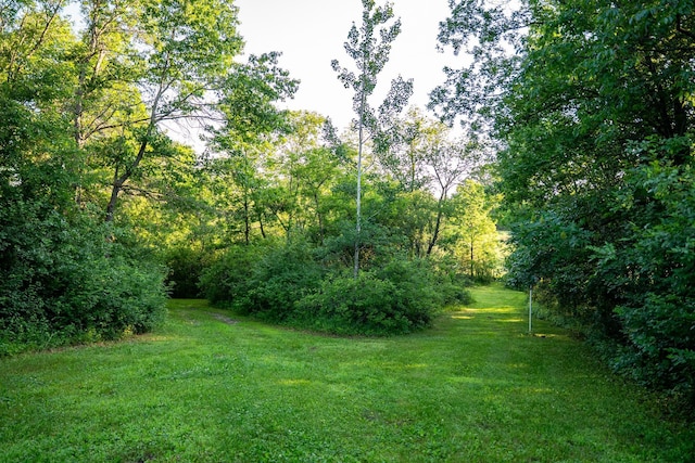 32592 Juniper Rd, Chatfield Twp, MN 55923 - photo 37