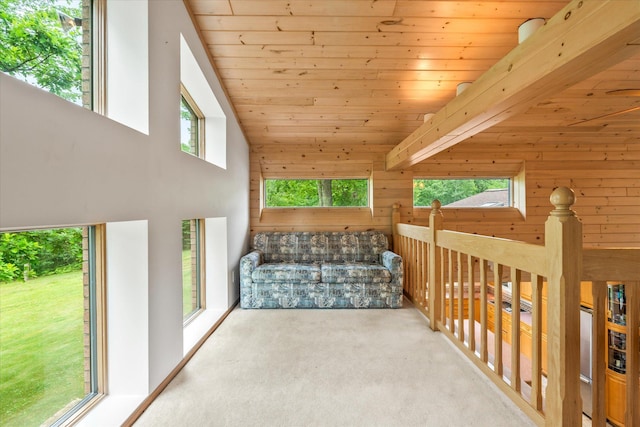 3718 Big Mcgraw Rd, Blaine Twp, WI 54830 - hallway with wood ceiling, carpet floors, and wood walls