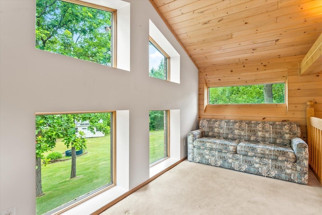 3718 Big Mcgraw Rd, Blaine Twp, WI 54830 - carpeted living room featuring wood ceiling, wood walls, and vaulted ceiling