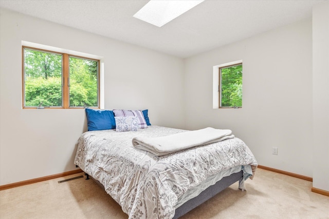 3718 Big Mcgraw Rd, Blaine Twp, WI 54830 - carpeted bedroom with a skylight and baseboards