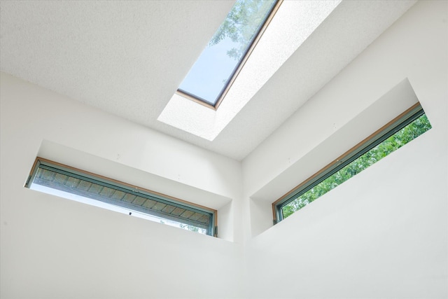 3718 Big Mcgraw Rd, Blaine Twp, WI 54830 - detailed view of a skylight