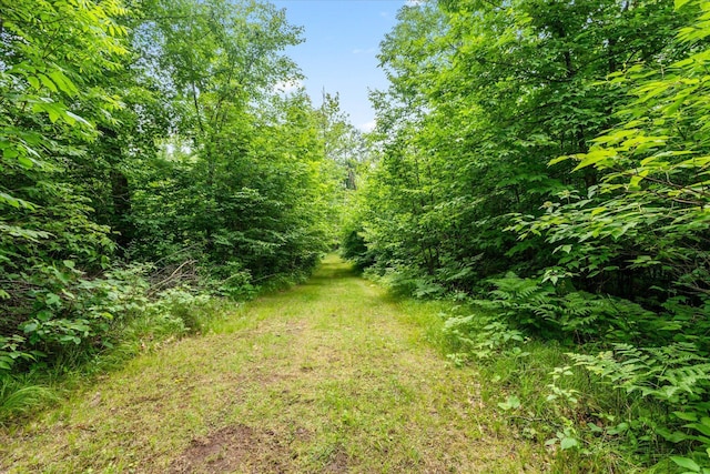 3718 Big Mcgraw Rd, Blaine Twp, WI 54830 - view of wooded area