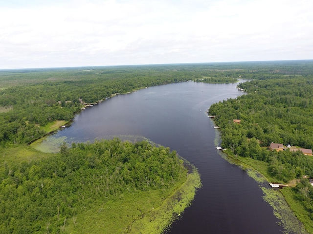 3718 Big Mcgraw Rd, Blaine Twp, WI 54830 - view of property location featuring a heavily wooded area and a nearby body of water