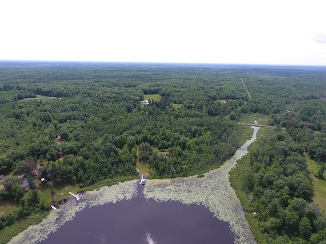 3718 Big Mcgraw Rd, Blaine Twp, WI 54830 - drone / aerial view of a forest and a nearby body of water