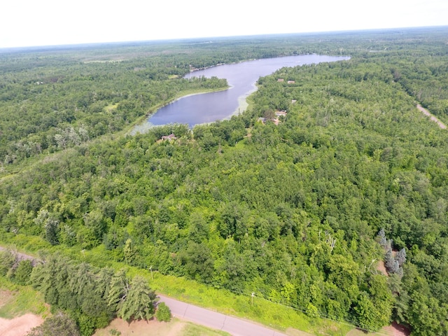 3718 Big Mcgraw Rd, Blaine Twp, WI 54830 - drone / aerial view of a forest and a large body of water