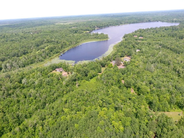 3718 Big Mcgraw Rd, Blaine Twp, WI 54830 - aerial overview of property's location featuring a forest and a large body of water