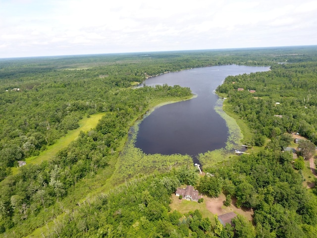 3718 Big Mcgraw Rd, Blaine Twp, WI 54830 - drone / aerial view of a forest