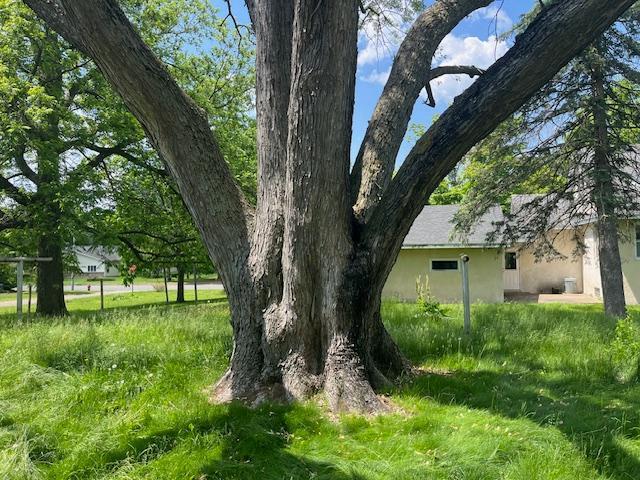 241 S Street W, Amery, WI 54001 - view of yard