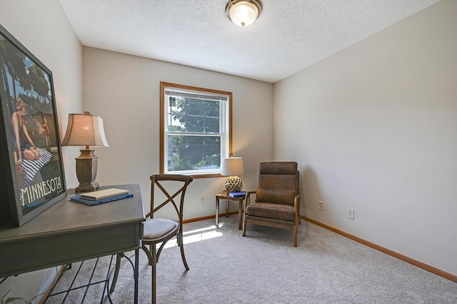 927 Charles Ave, Saint Paul, MN 55104 - carpeted office space featuring baseboards and a textured ceiling