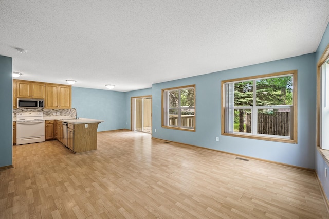 1011 6th Ave NE, Buffalo, MN 55313 - photo 2