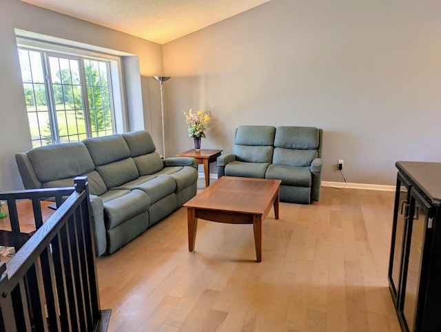 1541 282nd Ln NW, Isanti Twp, MN 55040 - living area featuring light wood-type flooring and baseboards