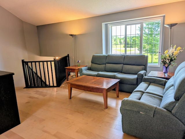 1541 282nd Ln NW, Isanti Twp, MN 55040 - living area with light wood-style floors