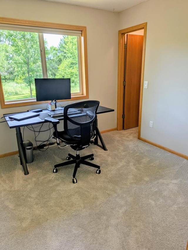 1541 282nd Ln NW, Isanti Twp, MN 55040 - office with baseboards and carpet flooring